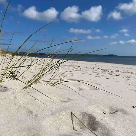Nur 50m Bis Zum Strand Διαμέρισμα Breege